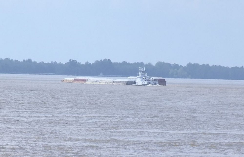 Towing tug Todd Brown sank in Mississippi River near