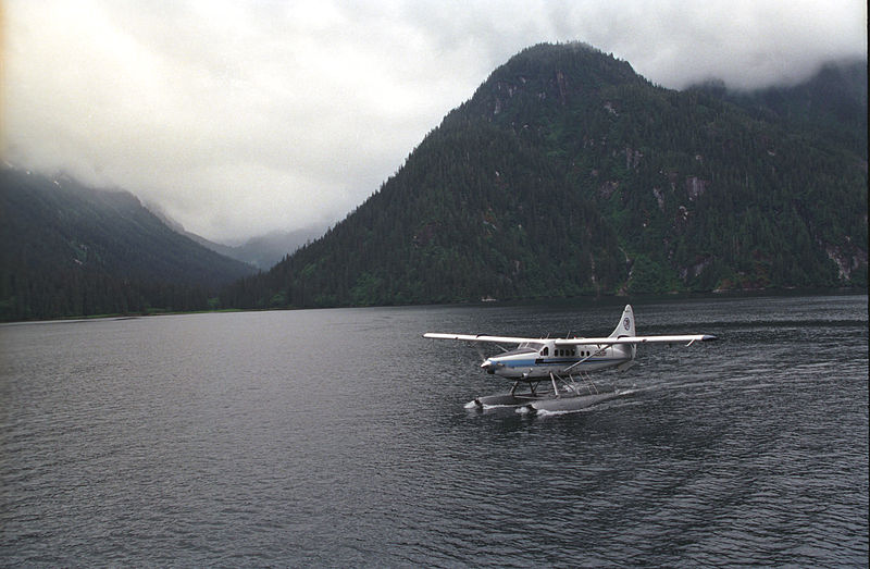 Floatplane Crashes in Alaska with 6 Cruise Passengers Who Swim to