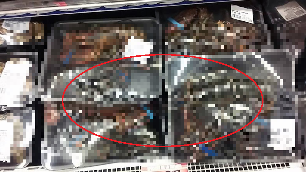 Grocery Store Packs Its LIVE LOBSTERS In Plastic Wrap And Causes Anger