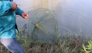 Man Removes His Net From a Pond and Discovers that Instead of Fish he Managed to Capture a Python