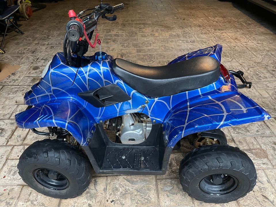 Best Kids Gas And Electric 4 wheelers 5 6 7 And 8 year olds best-kids-gas-and-electric-4-wheelers-5-6-7-and-8-year-olds