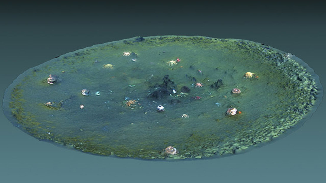 Thousands Of Mysterious Holes Discovered Off The California Coast (PHOTOS, VIDEO) | Maritime Herald