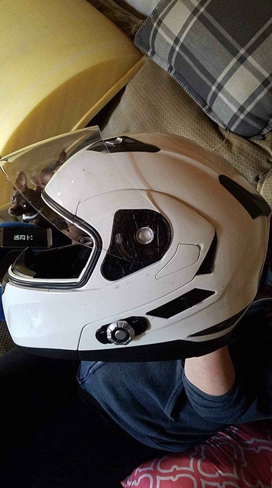 freedconn bluetooth helmet